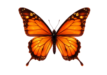 Surreal Fire Butterfly Painting