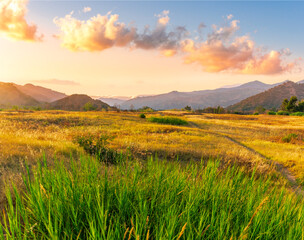 beautiful green valley with green fields with green spring grass with nive hills and mountains and scrnic colorful cloudy sunset on background of landscape