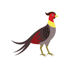 pheasant vector art