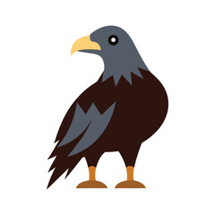 buzzard vector art