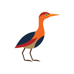 sun bittern vector art