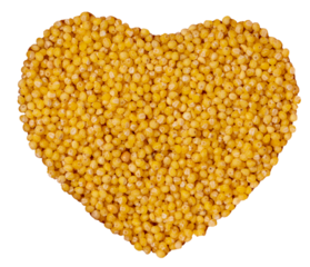 Isolated heat-shaped pile of millet groats on a white background, top view, copy space