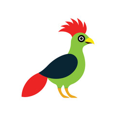 turaco vector art