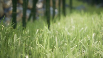 Bright green blades of grass dance gently in the warm breeze, creating a soothing landscape filled with life. The sunlight filters through nearby trees, enhancing the serene atmosphere of the meadow.