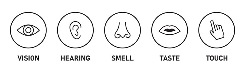 Five senses of human nervous system vector illustration. Vision through eye, smell with nose, taste with tongue line icon set. Variety Design 5 Five senses.