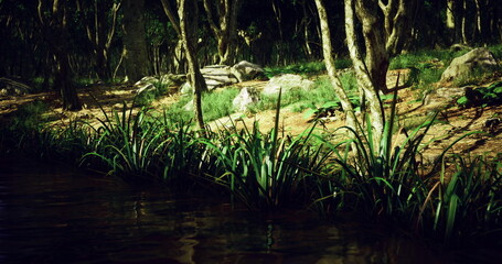 A tranquil riverside view captures the essence of nature, featuring vibrant green grasses and rocks nestled along the bank, surrounded by a lush forest under dappled sunlight.
