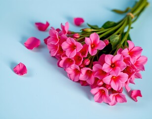 Fototapeta premium Vibrant Pink Flowers Soft Blue Background