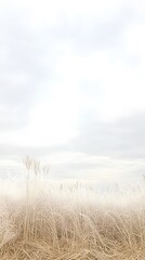 Serene Winter Grassland Landscape under Cloudy Sky
