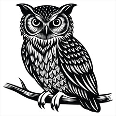 Owl Illustration,Black and White Vintage Woodcut Style Bird Vector Design,
Owl vector,Owl design,Owl concept,Owl cartoon,Owl icon,Owl template,Owl art,Owl topics,Owl doodle