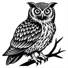 Owl Illustration,Black and White Vintage Woodcut Style Bird Vector Design,
Owl vector,Owl design,Owl concept,Owl cartoon,Owl icon,Owl template,Owl art,Owl topics,Owl doodle