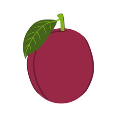 Plum in hand drawn style. Vector illustration isolated on white background