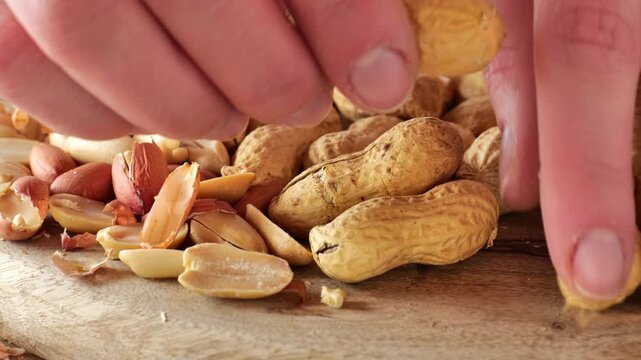 Peanut cleaning process. fingers peeling peanut kernels from their shells.A delicious and healthy snack. Peanut butter ingredient.Plant-based protein source. 4k footage