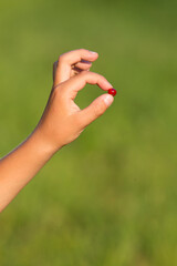 A child's hand holds a red berry. Blurred green background. Evening lighting