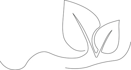 Elegant line art of leaves for natural beauty projects conveys growth and freshness, perfect for eco-friendly designs and minimalist themes, simple and clean style