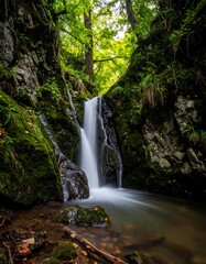 Obraz premium Serene waterfall cascades between moss-covered rocks, forest backdrop