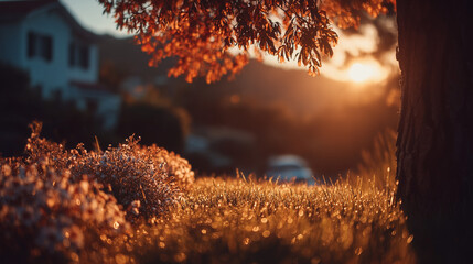 Dew on grass and small flowers beneath an autumn tree against a sunset over hills create a cozy atmosphere of warmth and gentle melancholy.