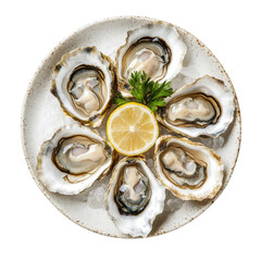 Oysters on ice with lemon on transparent background