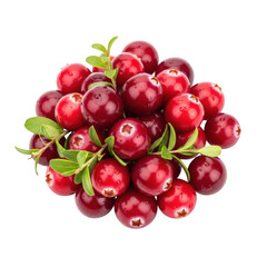 Obraz premium Pile of fresh red cranberries with green leaves still attached, perfect for holiday recipes and decorations, isolated on transparent background