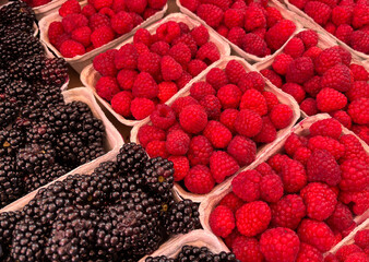 Fruit background with berry mix