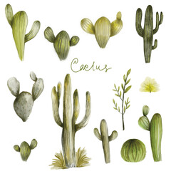 Hand-painted watercolor illustration of various cactus plants and desert succulents in green tones. Includes different cactus species and a delicate flower, perfect for botanical design, desert-themed
