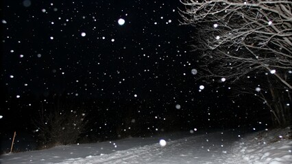 Experience a stunning winter snowfall at night with a path covered in fresh snow and glistening flakes