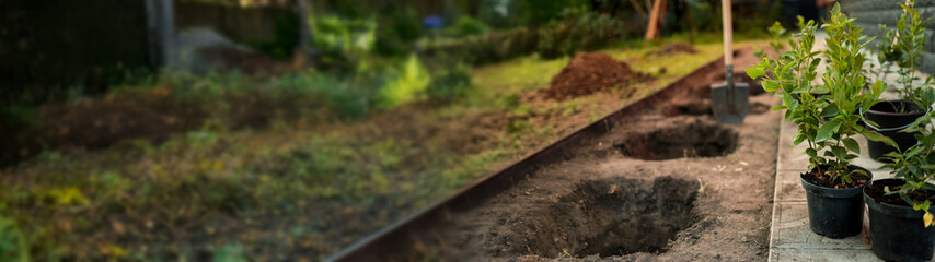 Planting new plants in a garden