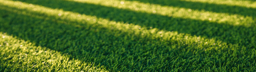Green grass with shadows creating a modern and minimal background.