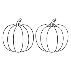 vector illustration of pumpkin