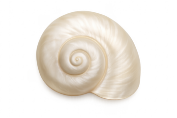 Iridescent seashell with spiral shape against transparent background