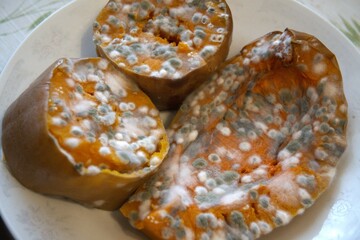Moldy piece of pumpkin on white plate in natural condition. Concept of decay, time passing, and imperfection.