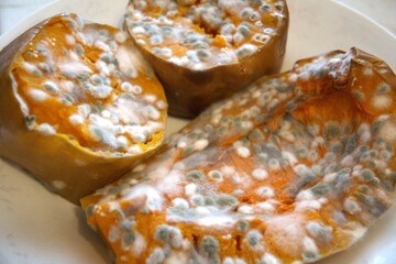 Moldy piece of pumpkin on white plate in natural condition. Concept of decay, time passing, and imperfection.