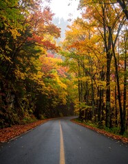Obraz premium Winding Road Through Forest Lined with Autumn Foliage
