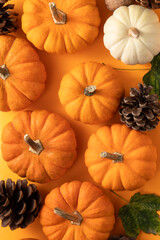 pumpkins and gourds