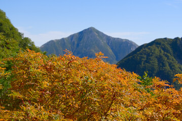 北アルプス、涸沢の紅葉と常念岳