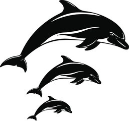 Vector art of three dolphins swimming together vector illustration
