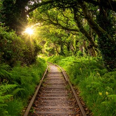 Obraz premium Wooden path leads into a sunlit forest with vibrant green foliage