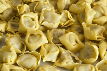 Close-up of fresh tortellini pasta showcasing golden dough and rich filling, traditional Italian cuisine ready for cooking or presentation.