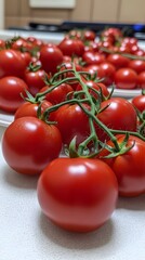 Fresh Red Tomatoes on the Vine, Juicy and Ripe Produce