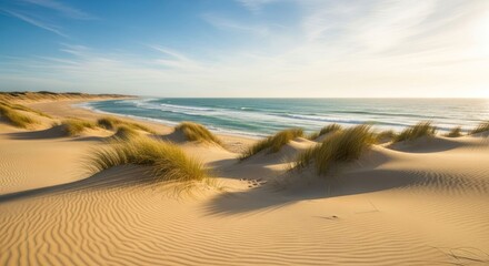 Sandy beach dunes meet ocean