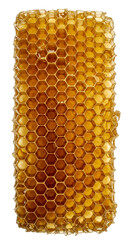 Isolated Realistic Honeycomb with Golden Hexagons and Amber Honey