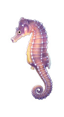 Isolated realistic illustration of a purple seahorse on black background