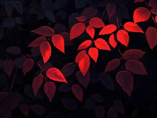 Dark Red Leaves on Black Background Botanical Illustration