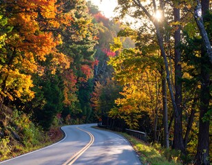 Fototapeta premium Winding Road Through Vibrant Autumn Forest at Sunset