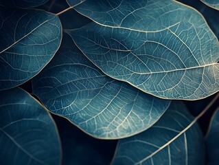 Obraz premium Teal Leaf Texture Close Up Botanical Background