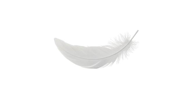 Isolated Realistic White Feather on Transparent Background