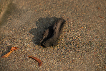A close-up of a single piece of black charcoal lying on a sandy gravel ground, the remains of a campfire or a barbecue.
