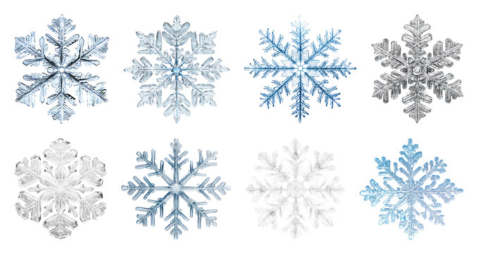 PNG Intricate crystalline snowflake designs, element set on transparent background