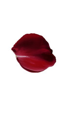 Isolated Red Petal Photo with Black Background