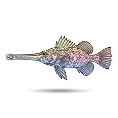 Fototapeta premium Illustration of a needlefish isolated on white background, a long slender fish