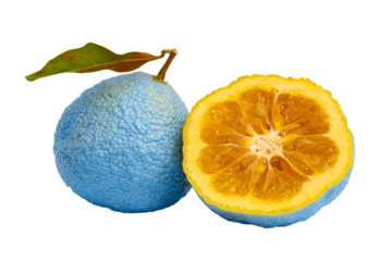 A surreal blue orange fruit whole and cut in half.